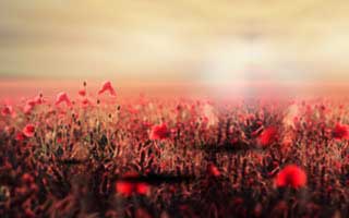 看到这一页的时候，我才发现91大事件近日真正重点全藏在边角